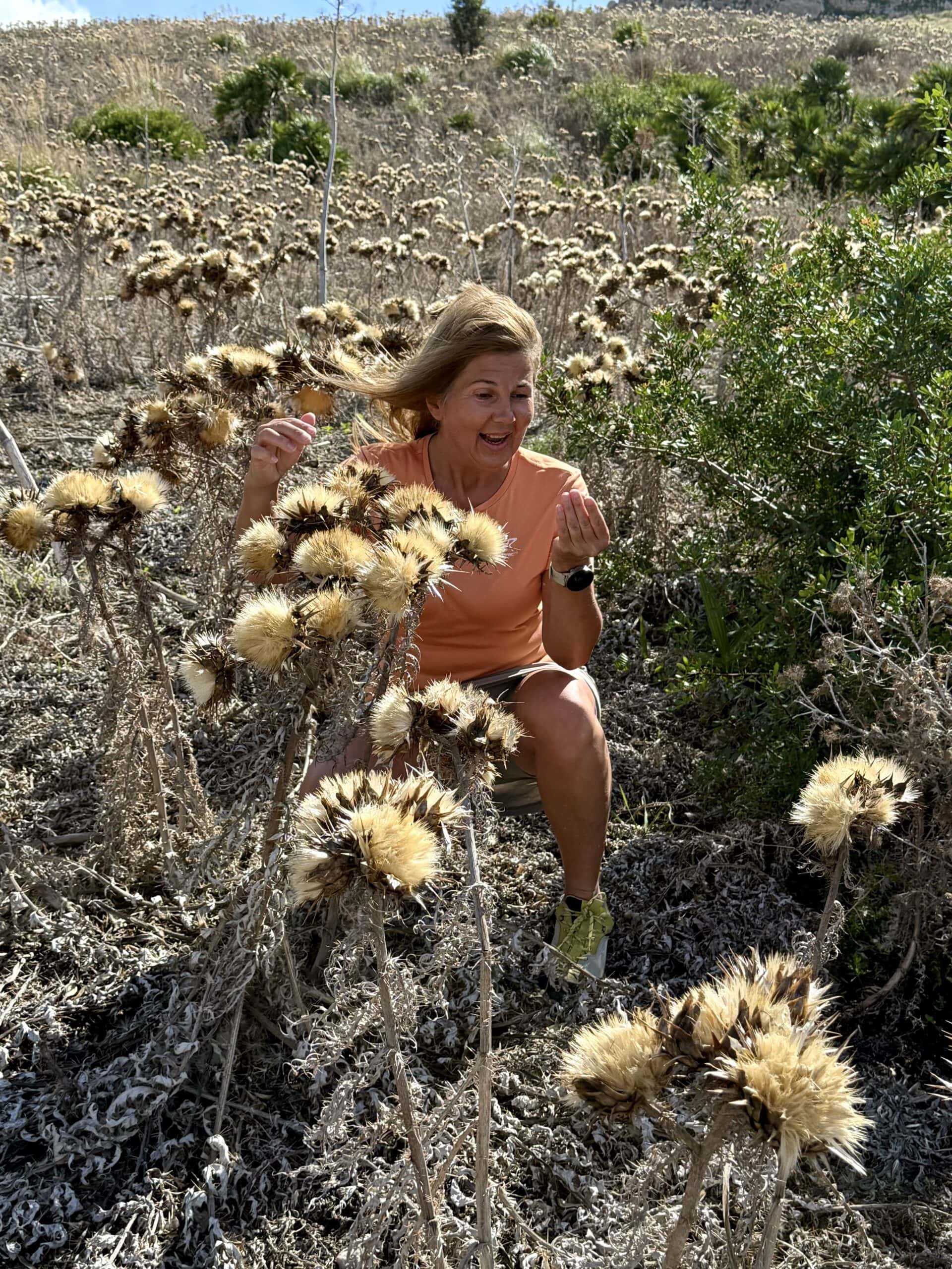 Nie dotykać. Podziwiać 😅🌿 Sucho, ostro, kolczasto. Roślinność na Monte Monaco nie prosi o uwagę, tylko uczy pokory. Tu wszystko żyje na własnych zasadach i bez taryfy ulgowej.