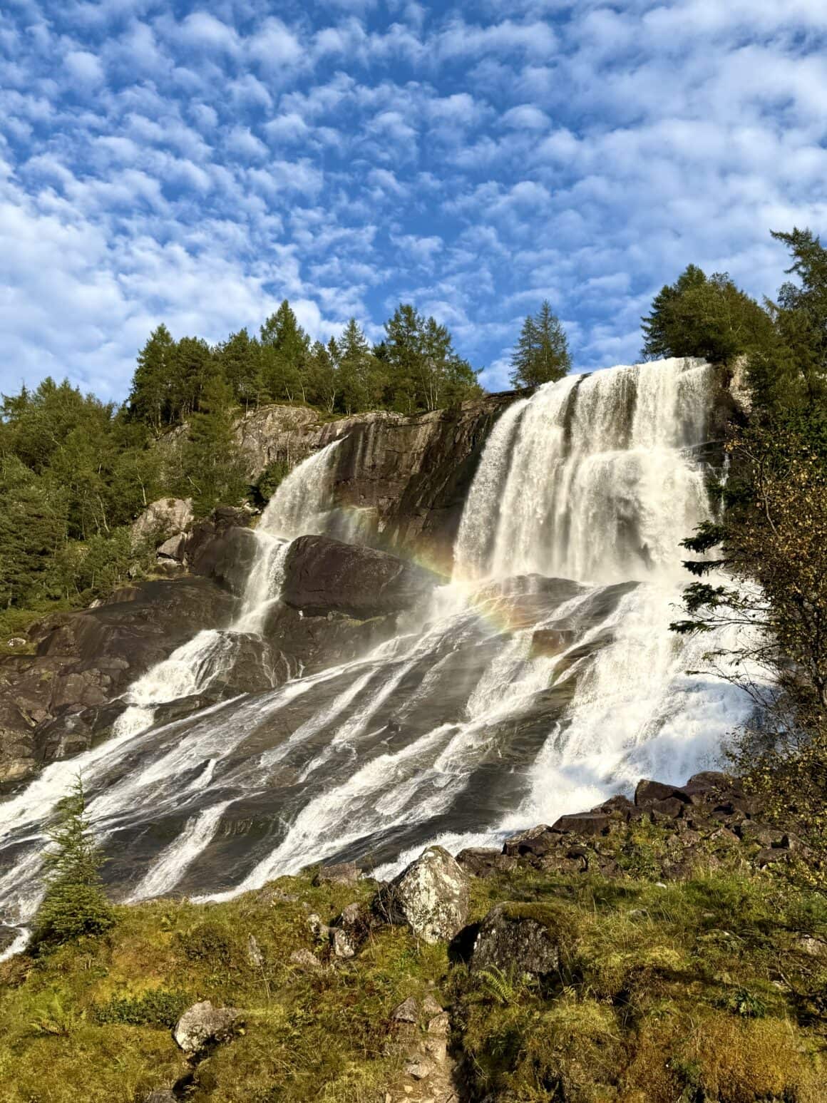 Kiedy słońce odbija się w kroplach, a cały świat błyszczy jak posypany brokatem — człowiek zaczyna się zastanawiać, czy to jeszcze natura, czy już magia.