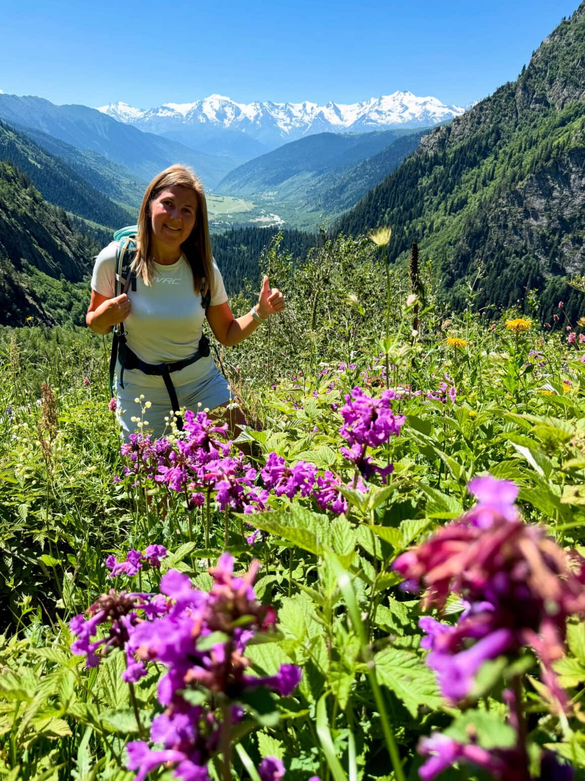 Gruzińskie łąki są jak malowane – fiolety, żółcie i zieleń aż biją po oczach. Tutaj nawet chwasty wyglądają jak z katalogu botanicznego.