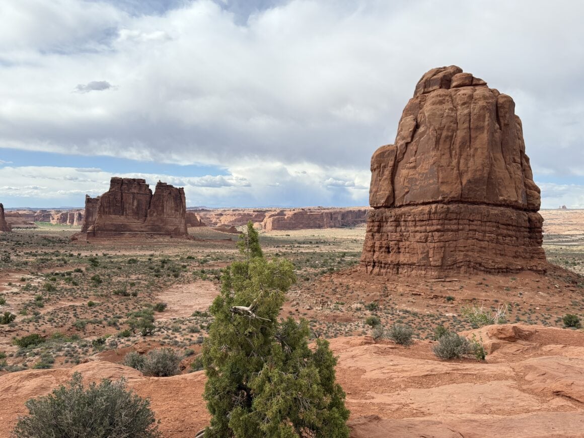 The Organ – kamienna katedra natury 🎶 The Organ – majestatyczna formacja skalna w rejonie Courthouse Towers. Wygląda jak ogromne organy wyrzeźbione przez naturę – a gdyby mogły grać, pewnie słychać byłoby tylko wiatr i echo pustyni 🎵🌵