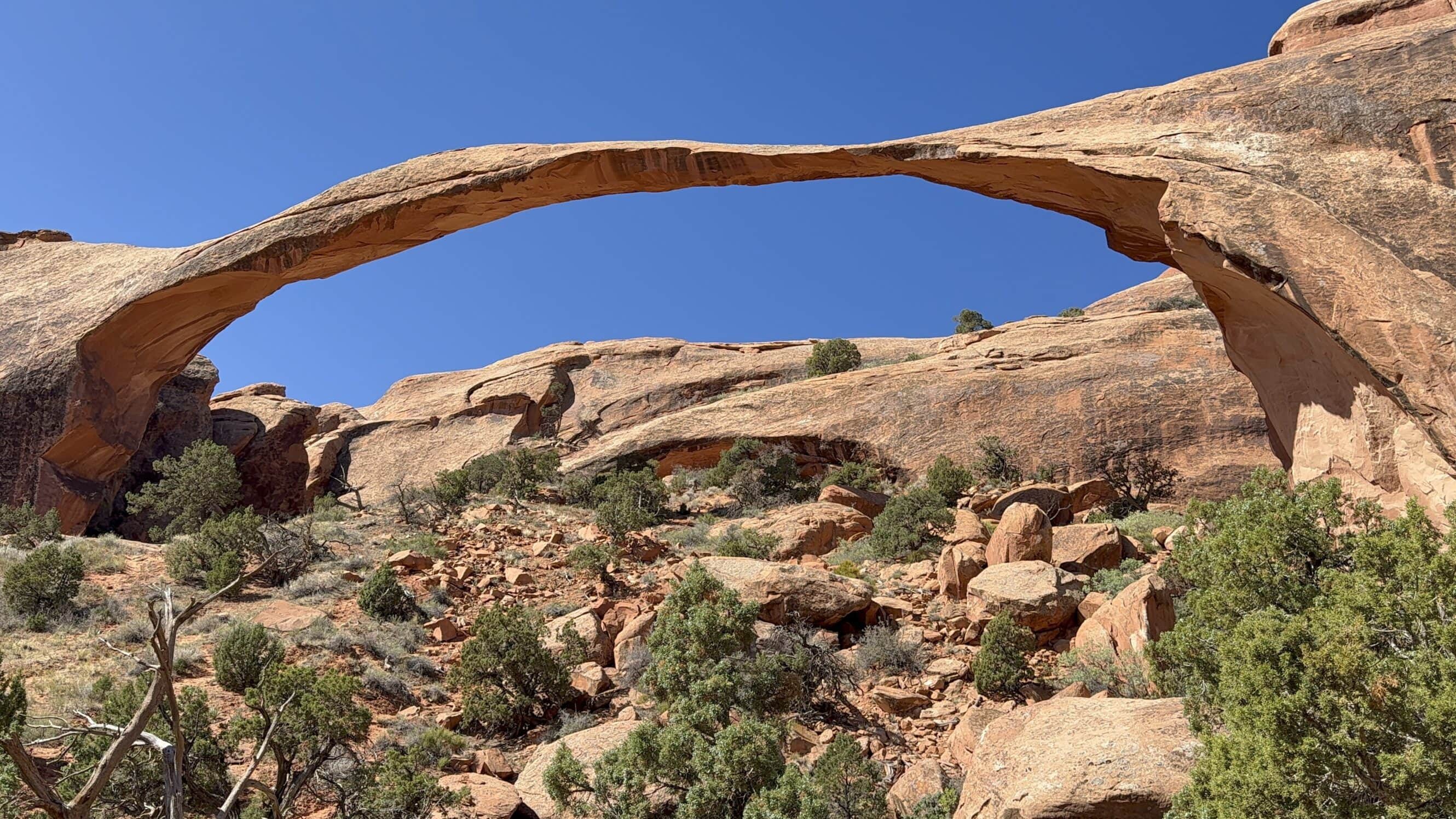 Cienki, ale twardy zawodnik 🍝