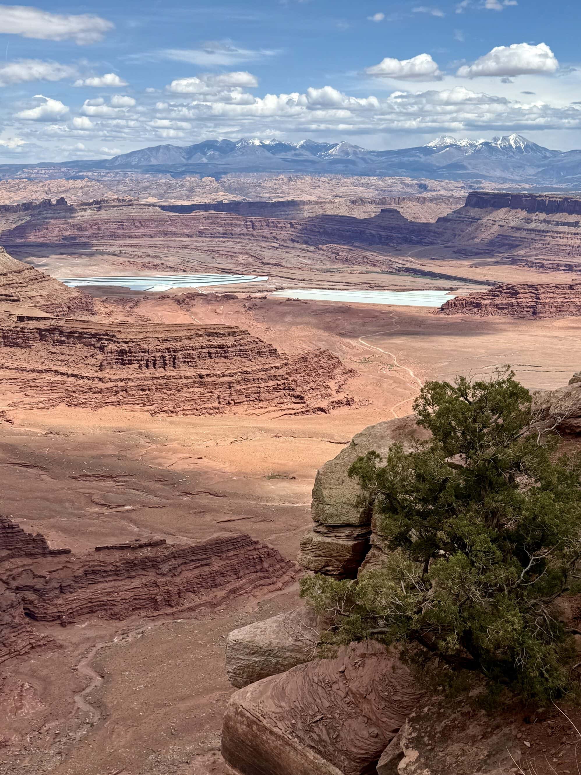 Matka natura ma tu niezłe pędzle 🎨 Niektórzy mówią, że Dead Horse Point to najpiękniejszy widok w całym Utah. I coś w tym jest — każda skała ma tu swój odcień, a Kolorado wije się jak zielony wąż wśród czerwonych fal piaskowca.