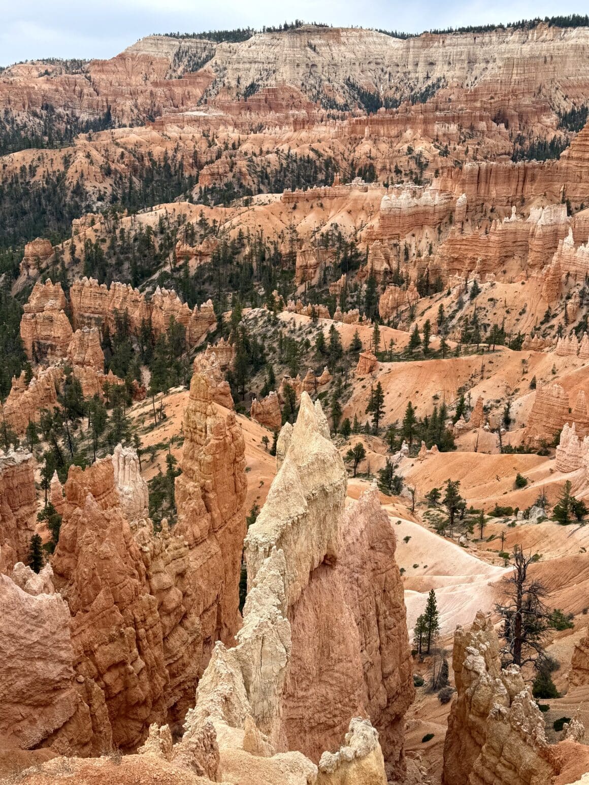 Mini my wśród gigantów! 😍 Niektóre miejsca są tak nierealne, że wyglądają jak render, a nie rzeczywistość.