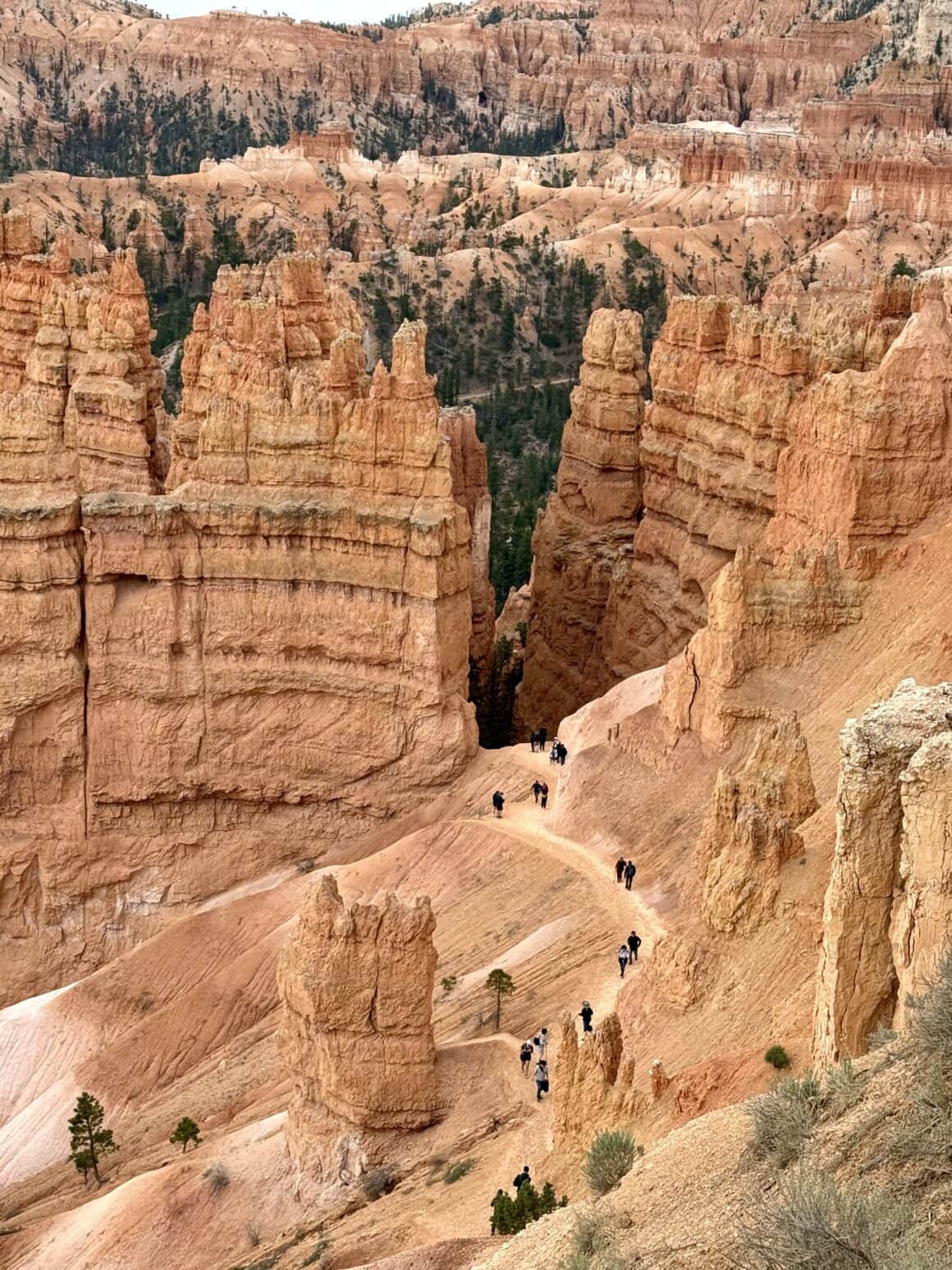 Panorama, która odbiera słowa, a oddaje spokój. Czasem wystarczy po prostu stać i patrzeć.