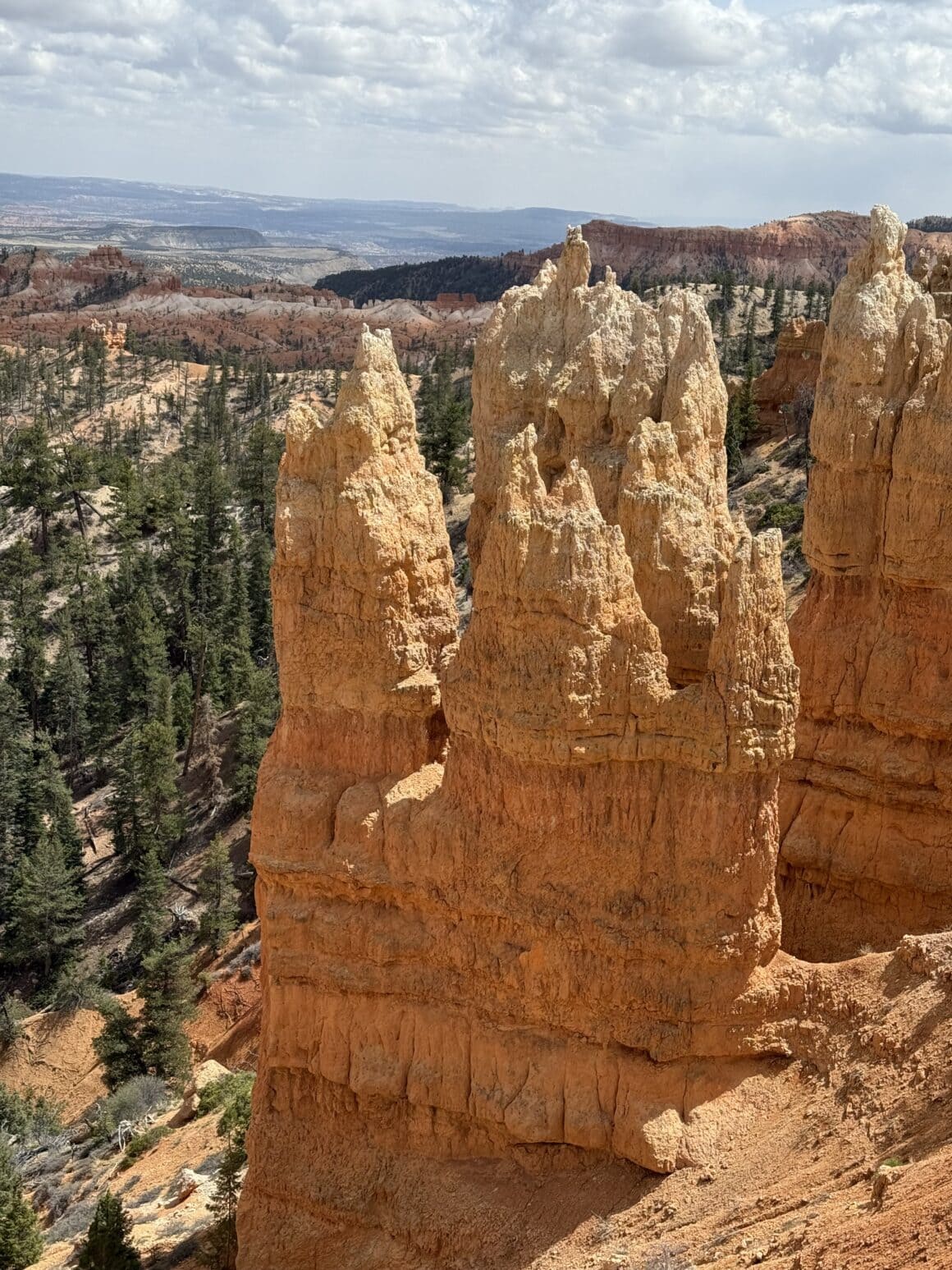 Tu nawet powietrze ma odcień zachwytu. Każdy krok wygląda jak pocztówka z innej planety.