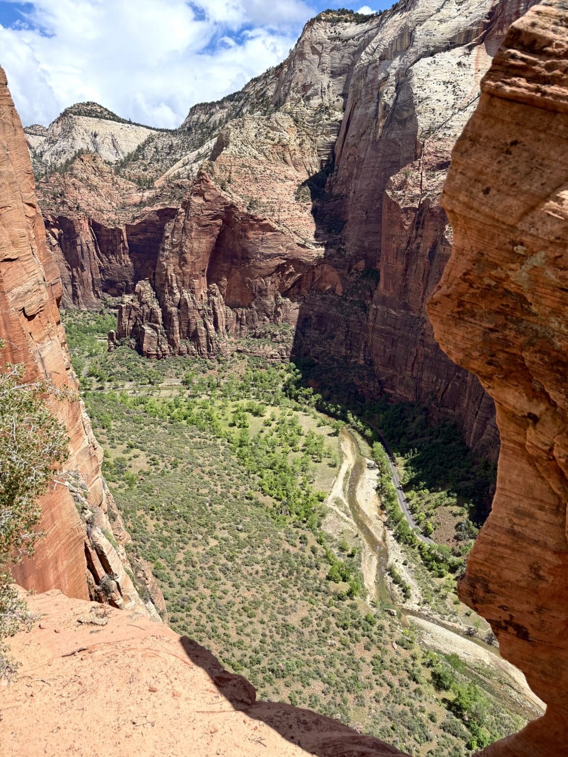 Każdy zakręt to nowe ujęcie, każda skała to inna scena. Zion nie potrzebuje efektów specjalnych – on jest efektem specjalnym.