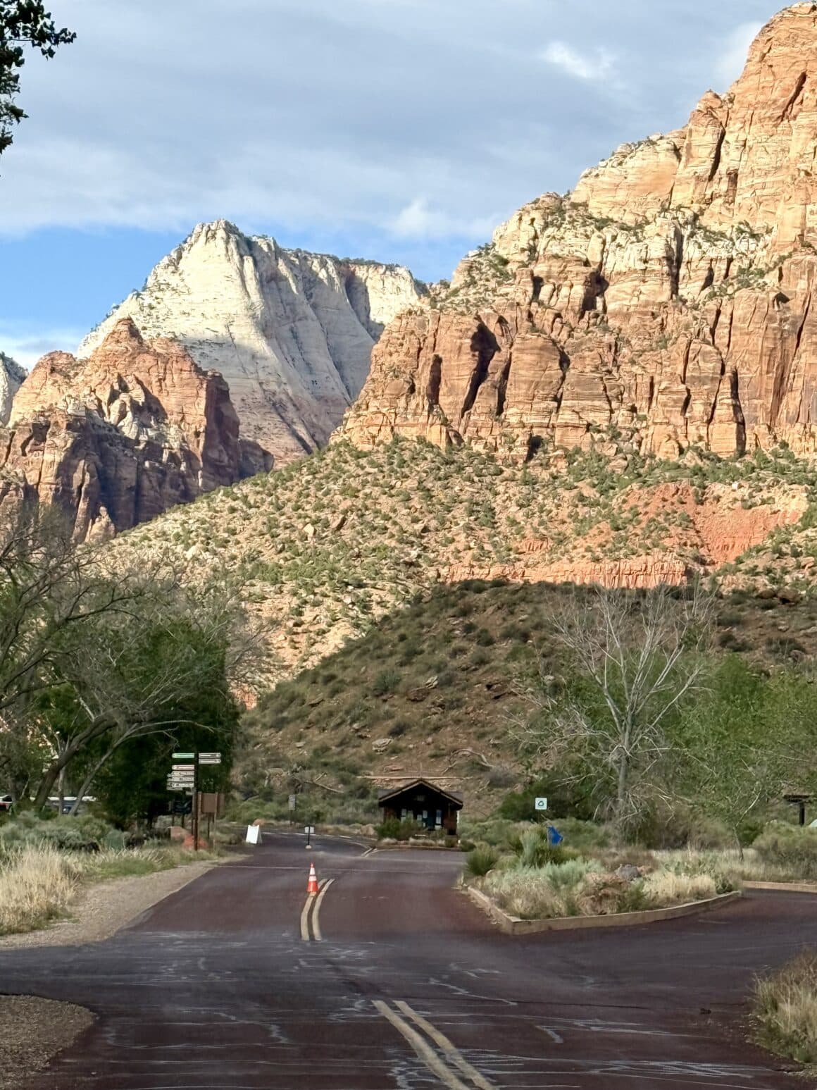 Każdy kilometr bliżej Zion to coraz większe „wow”. Asfalt wijący się między skałami i światło, które zmienia kolor z minuty na minutę.