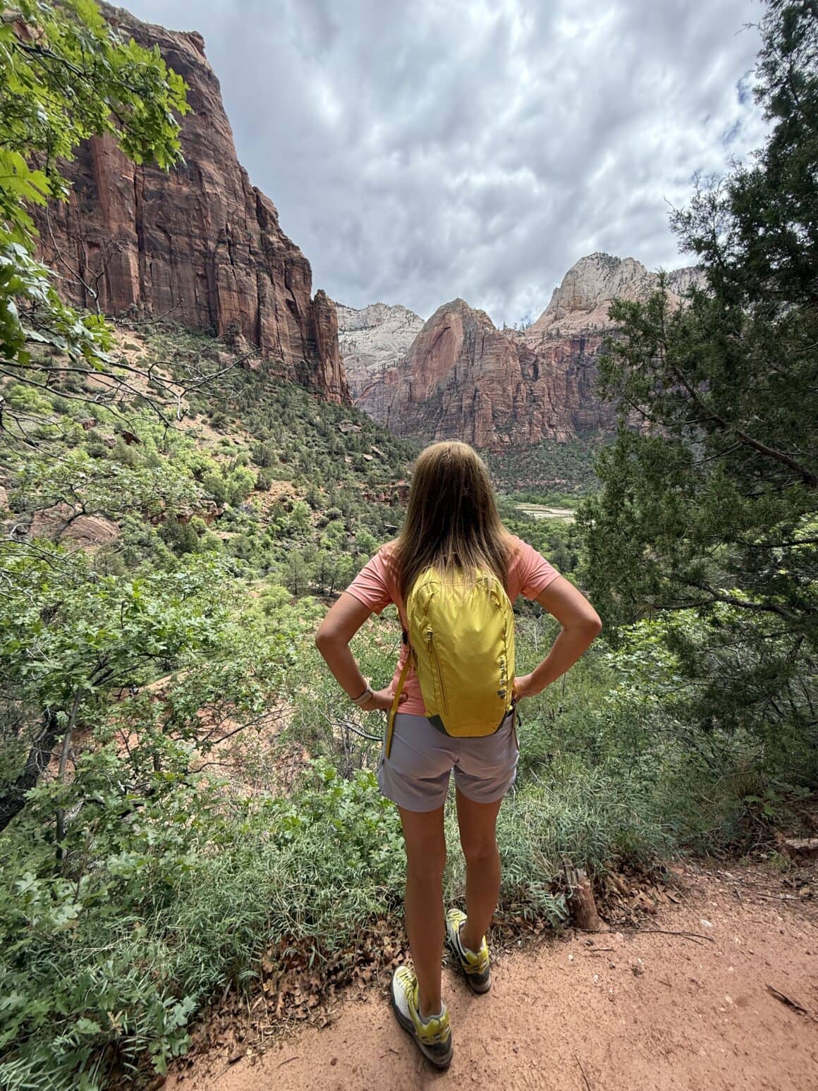 Z plecakiem i marzeniem – klasyka gatunku! 🎒 Widok z doliny przypomina, że Zion to park, który ma w sobie trzy klimaty naraz. Palmy u dołu, sosny po środku, śnieg na szczytach – i wszystko w jednym kadrze.