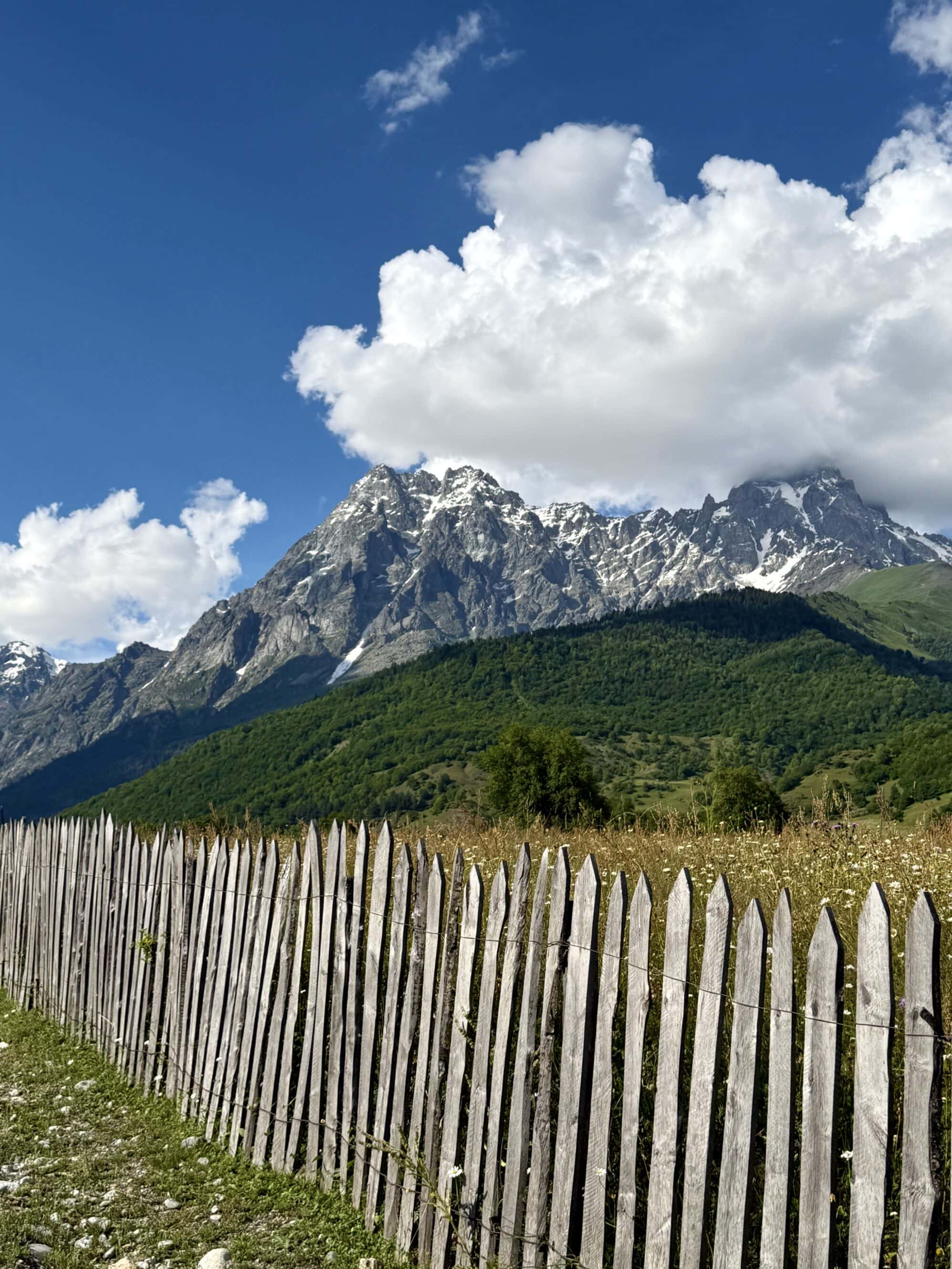 W Gruzji nawet płoty mają duszę — krzywe, nierówne, ale prawdziwe. Stoją tu od lat i widziały więcej wschodów słońca niż niejeden turysta.
