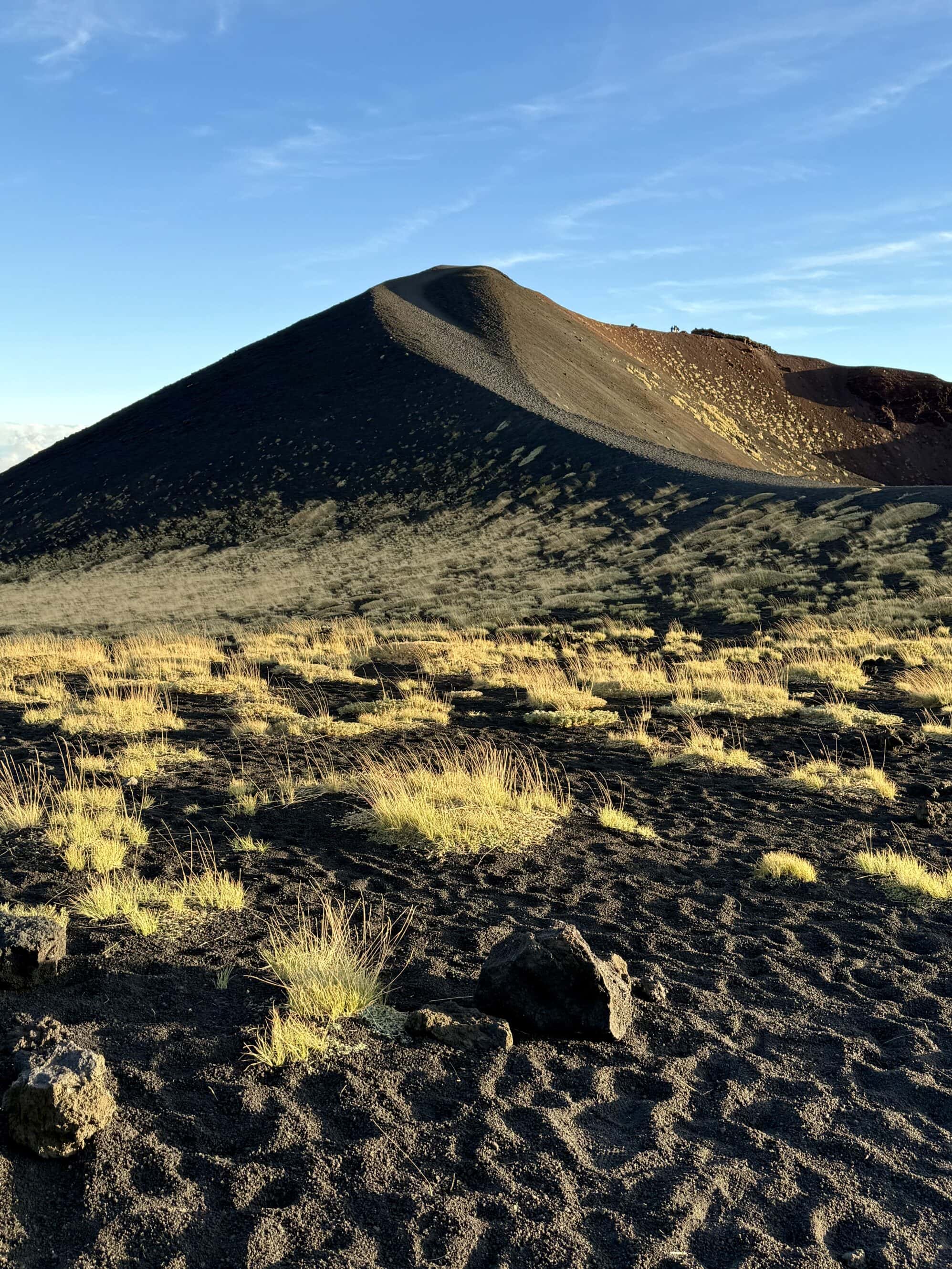 Na pierwszy rzut oka to pustynia, ale wystarczy światło, by zobaczyć setki małych roślin. To ich świat – surowy, gorący i piękny w swojej prostocie.