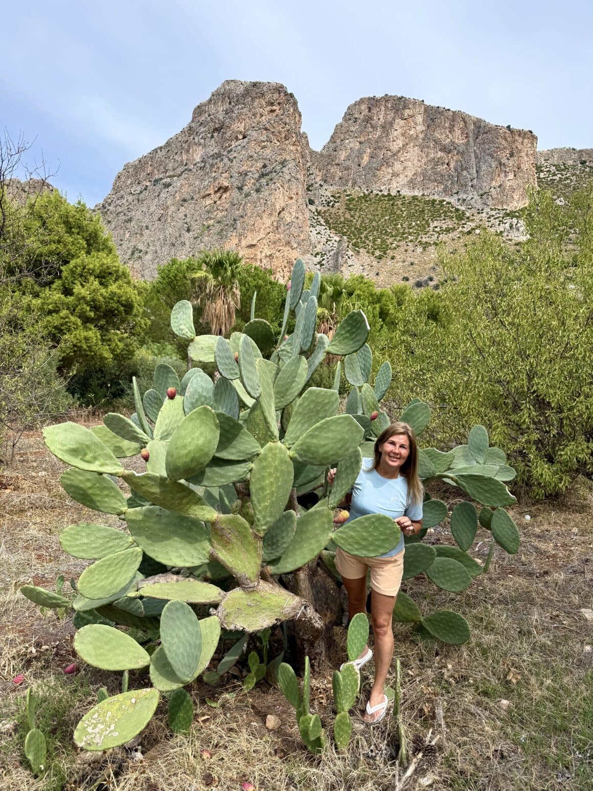 Kaktusy na Sycylii to nie dekoracja, tylko pełnoprawni lokatorzy. I w dodatku tacy, którzy rosną szybciej niż trawa.