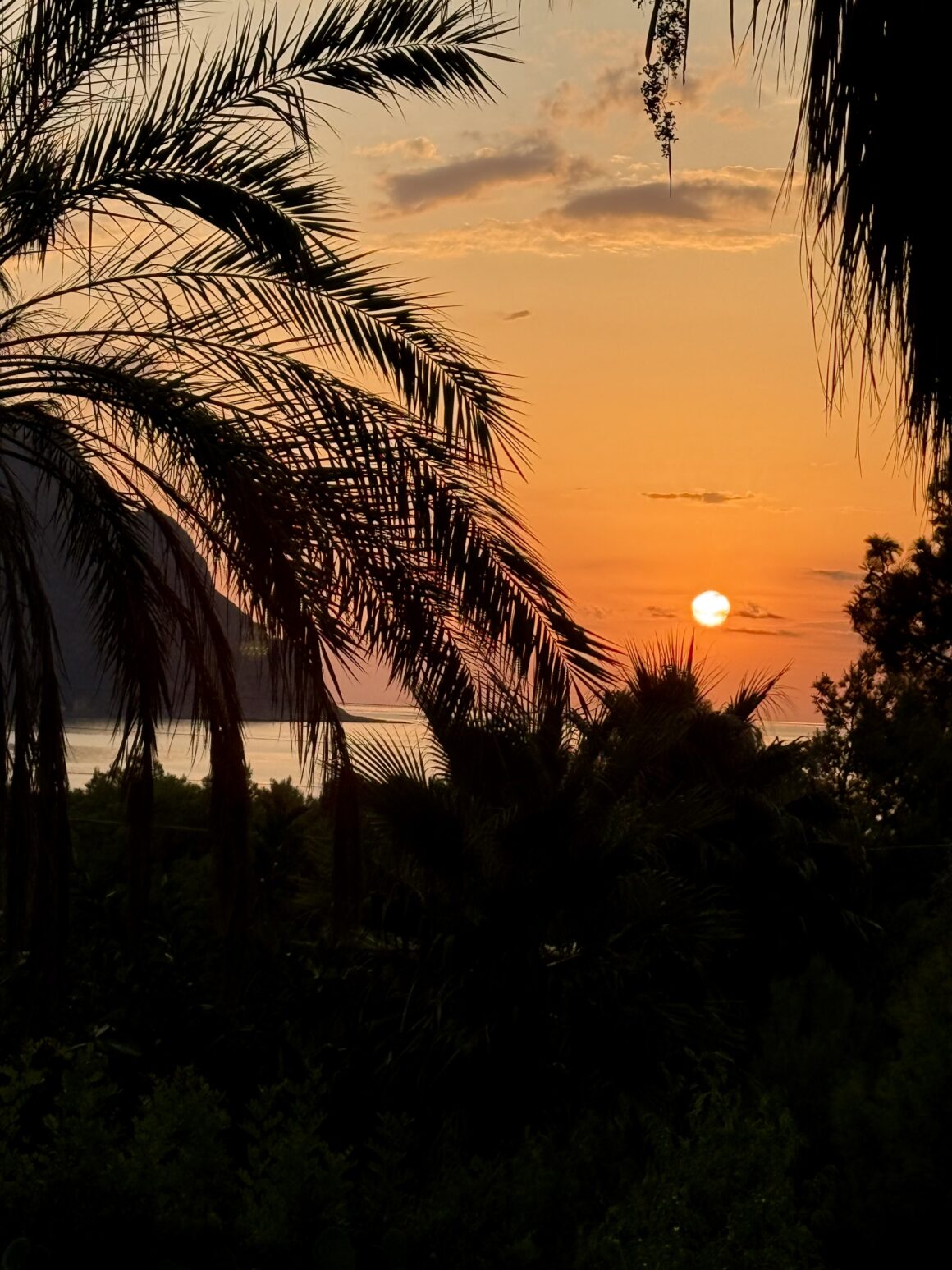 Zostawiło po sobie tylko zapach oliwek i ciszę, która brzmiała lepiej niż jakakolwiek muzyka.