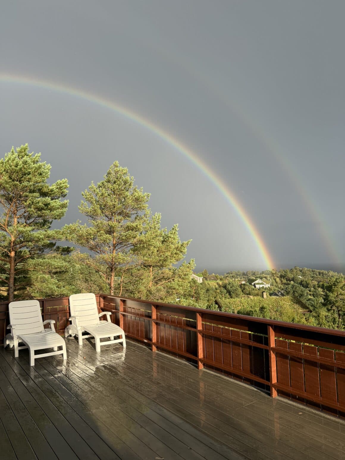 Wystarczyło kilka minut słońca po deszczu, żeby cała okolica zamieniła się w obraz. Nawet deski na tarasie wyglądały jak nowo pomalowane 🌈
