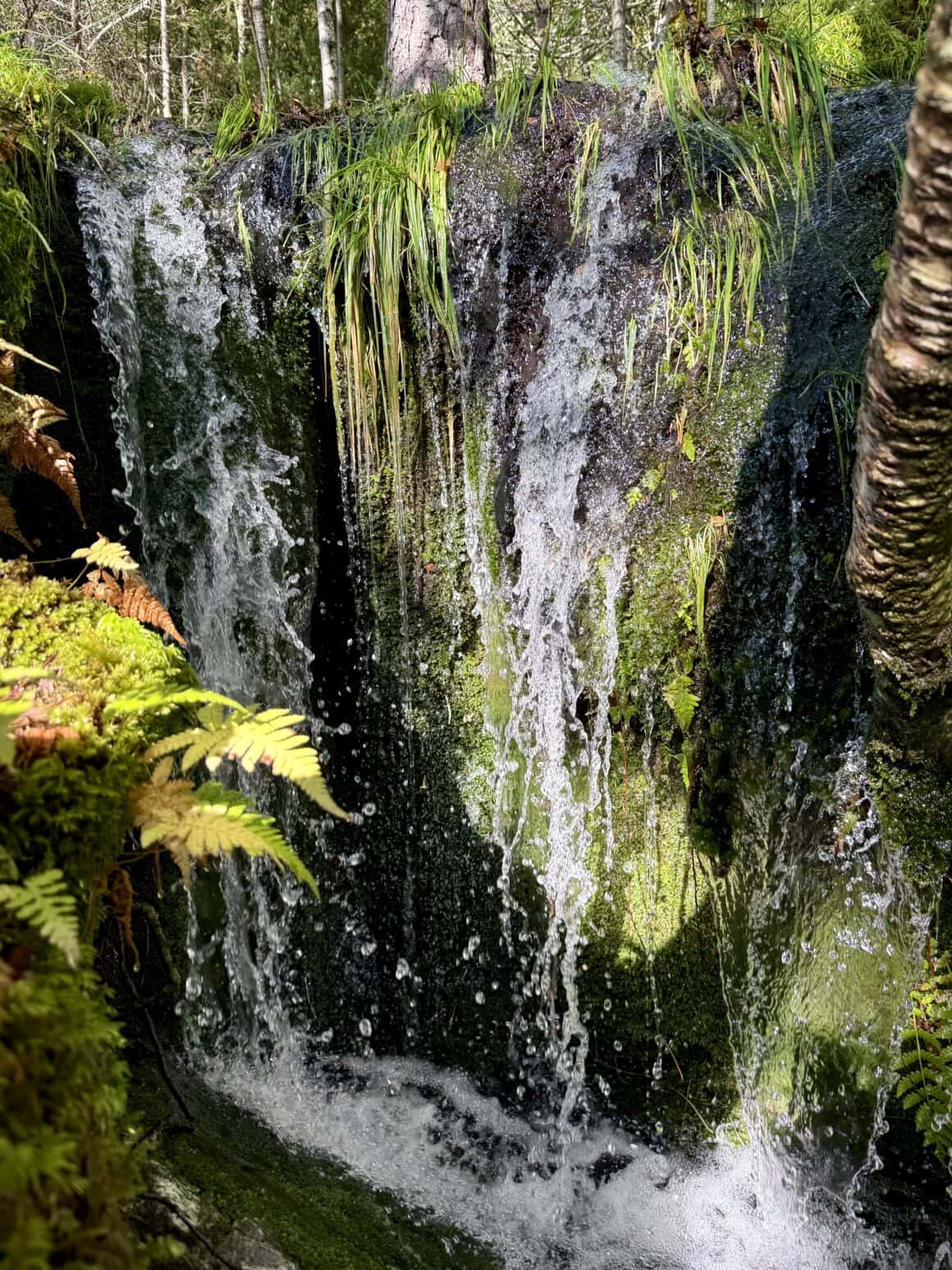 W Norwegii wodospady są wszędzie – przy drodze, pod domem, za zakrętem. I zawsze robią hałas, który wywołuje ciarki.