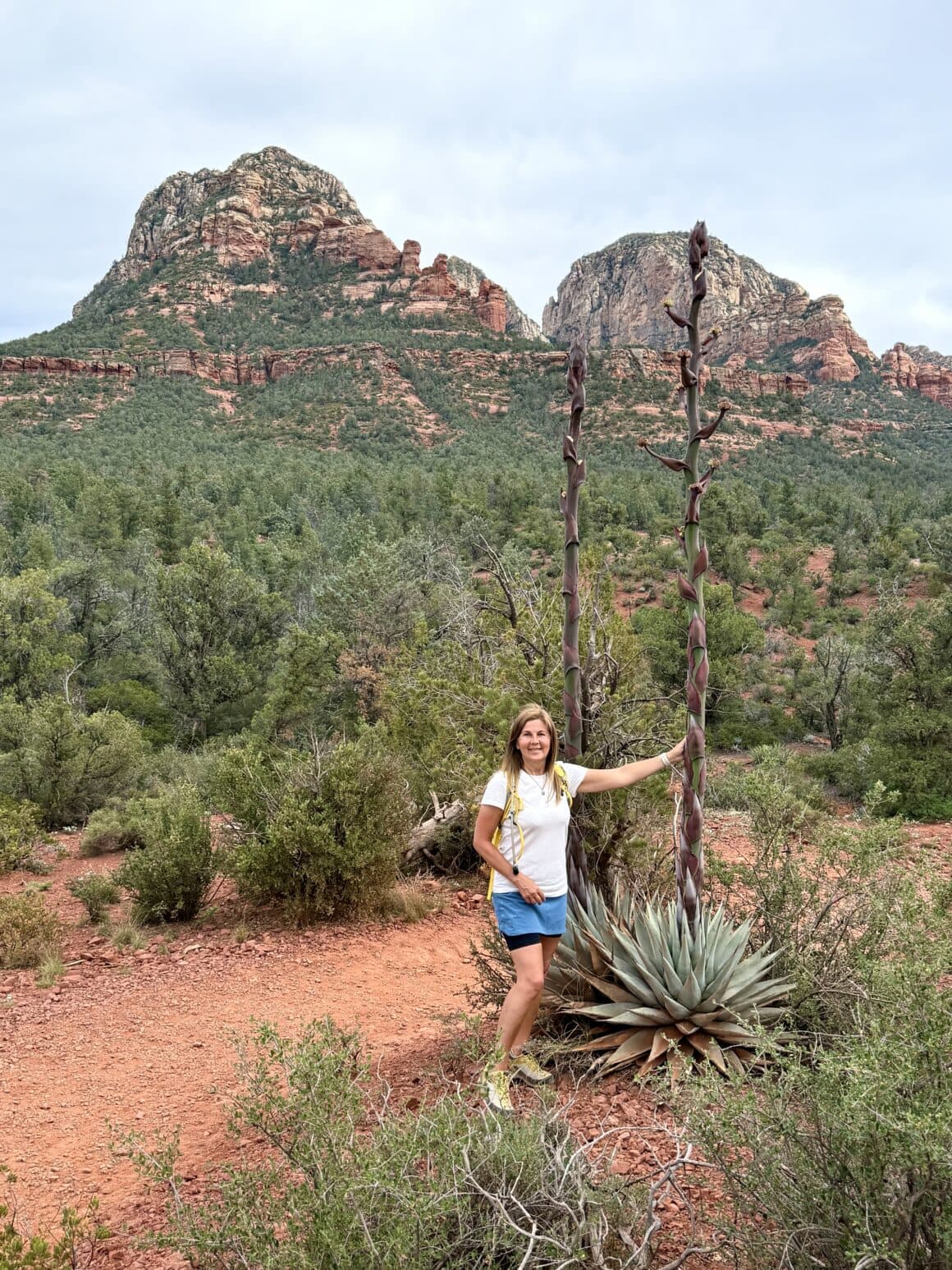 Wystrzeliła wyżej niż mój puls na podejściu 😄 Ten wysoki pęd kwiatowy agawy wygląda jak naturalna wieża obserwacyjna. W Sedonie wszystko rośnie tak, jakby chciało dosięgnąć chmur — nawet bez kropli deszczu.