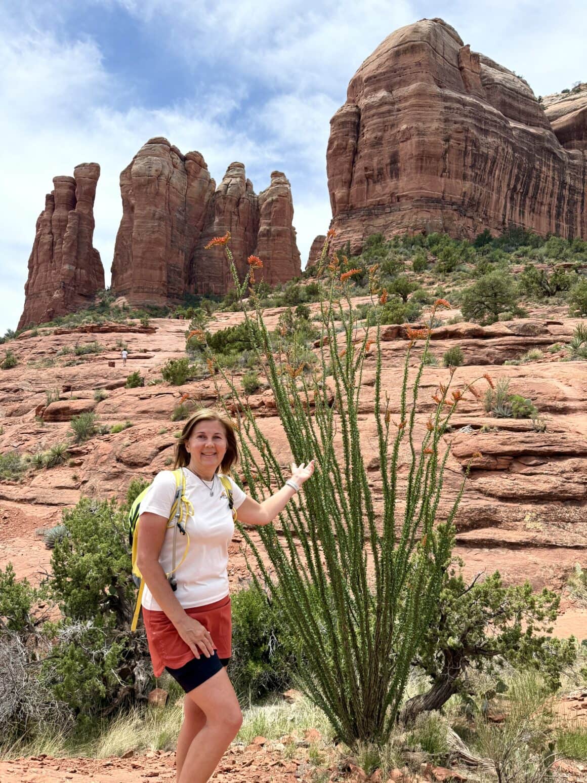 Ja i lokalna „szczotka do naczyń” 😄 Niektóre rośliny w Sedonie mają tak fantazyjne kształty, że zastanawiasz się, czy natura miała dobry dzień, czy po prostu poszła w abstrakcję. Ale pasują tu idealnie — jakby całe otoczenie było jedną wielką wystawą rzeźb.