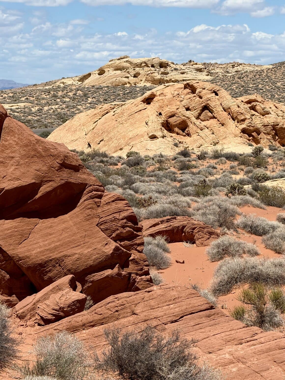 Pustynia czy gigantyczna creme brulee? 🔥 Ten fragment parku pokazuje, jak różnorodna jest erozja. Miękkie łuki, wygięcia i fale to efekt wiatru, który przez tysiące lat szlifował piaskowiec w naturalną rzeźbę.
