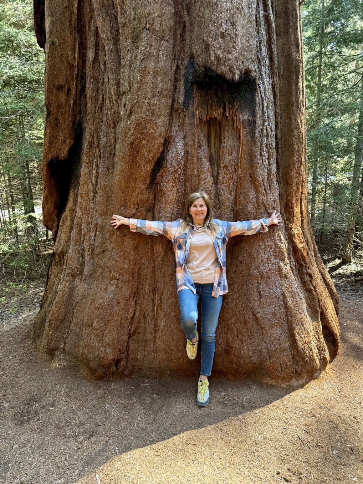 Instrukcja obsługi: objąć i się nie uda 🤗😄 Próba objęcia sekwoi to moment, w którym człowiek uświadamia sobie swoje gabaryty. I jest to bardzo zdrowe doświadczenie. Drzewo nie reaguje. Ty się śmiejesz. Wszyscy wygrywają.
