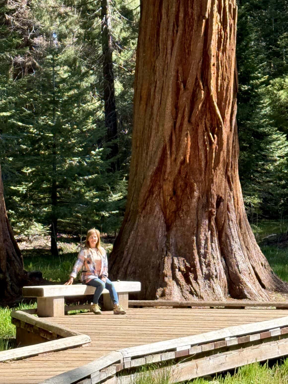 Ławeczka dla bardzo małych ludzi 🪑😄 Idealne miejsce, żeby usiąść i po prostu nic nie robić. Te drzewa rosły już wtedy, gdy w Europie budowano pierwsze katedry. Siedzisz obok i masz wrażenie, że czas zwalnia specjalnie dla tego miejsca. Sequoia nie robi show — ona jest show.