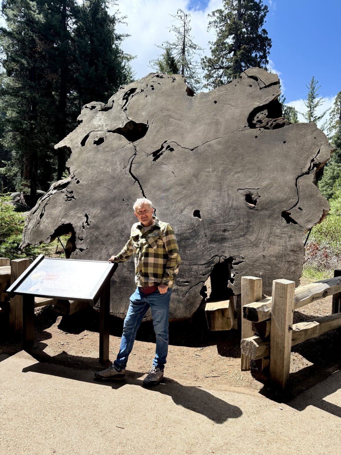 Instrukcja obsługi drzewa 🤓🌲 Czytanie tabliczki przy sekwoi to trochę jak czytanie regulaminu Wszechświata. Niby rozumiesz słowa, ale i tak wychodzisz z poczuciem, że to drzewo wie więcej o życiu niż ty.