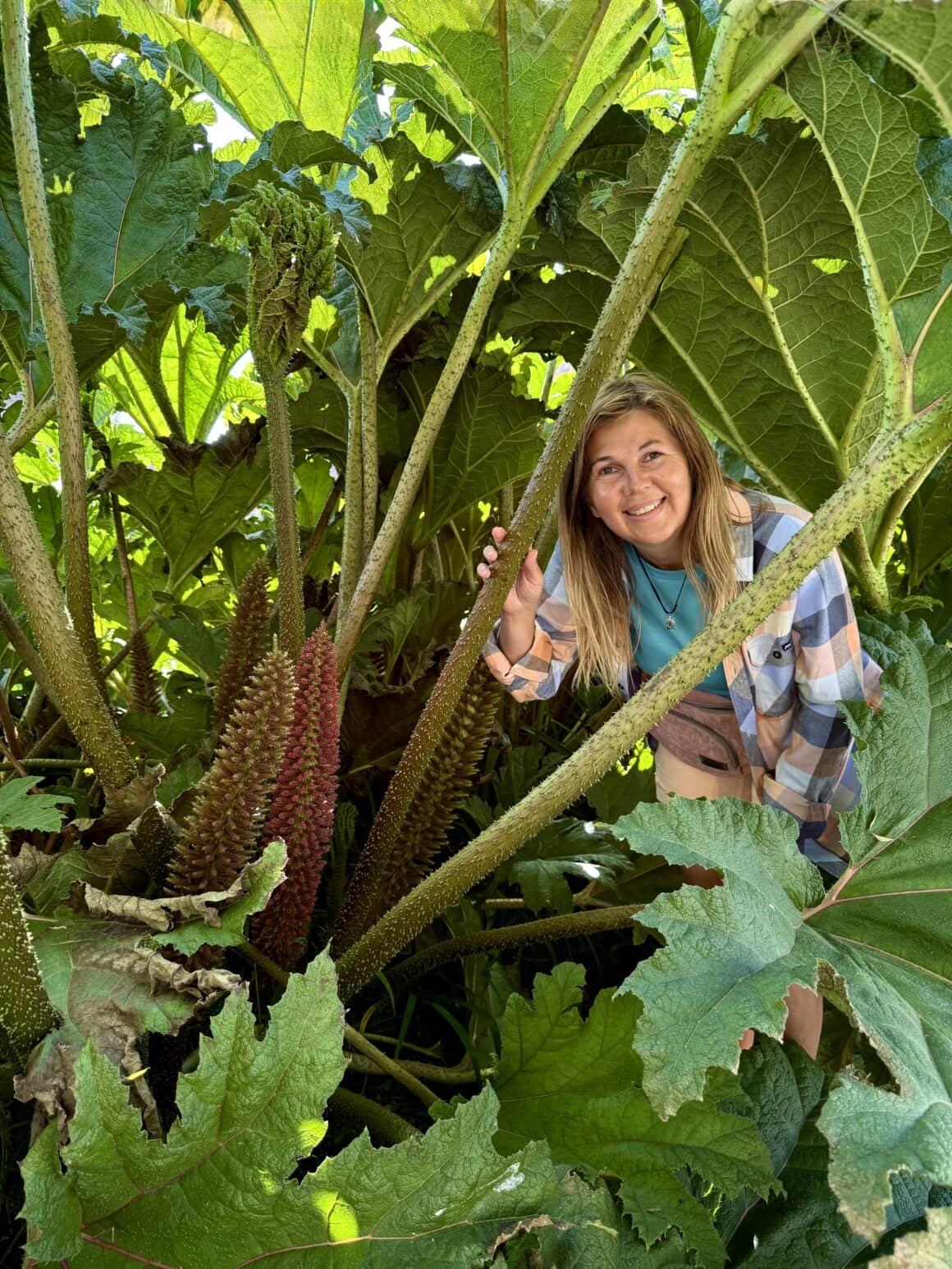 Miasto, które zarosło 🌿 San Francisco kocha zieleń. Ona wychodzi z ogrodów, wspina się po domach i nagle masz wrażenie, że miasto trochę się zapomniało… i bardzo dobrze.