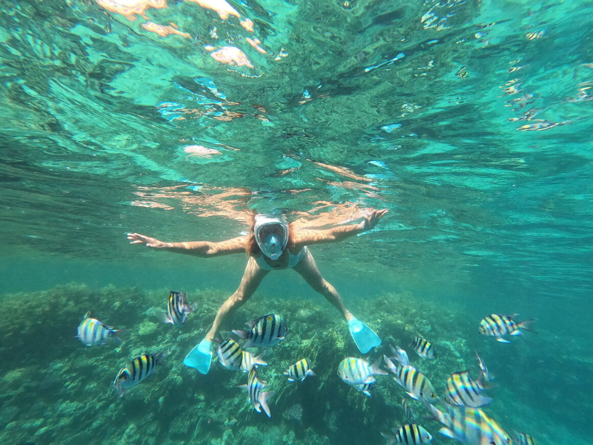 Ja i moje towarzystwo 🐠😄 One pływają swoim tempem, ja próbuję dotrzymać kroku. Bez skutku, ale za to z uśmiechem.