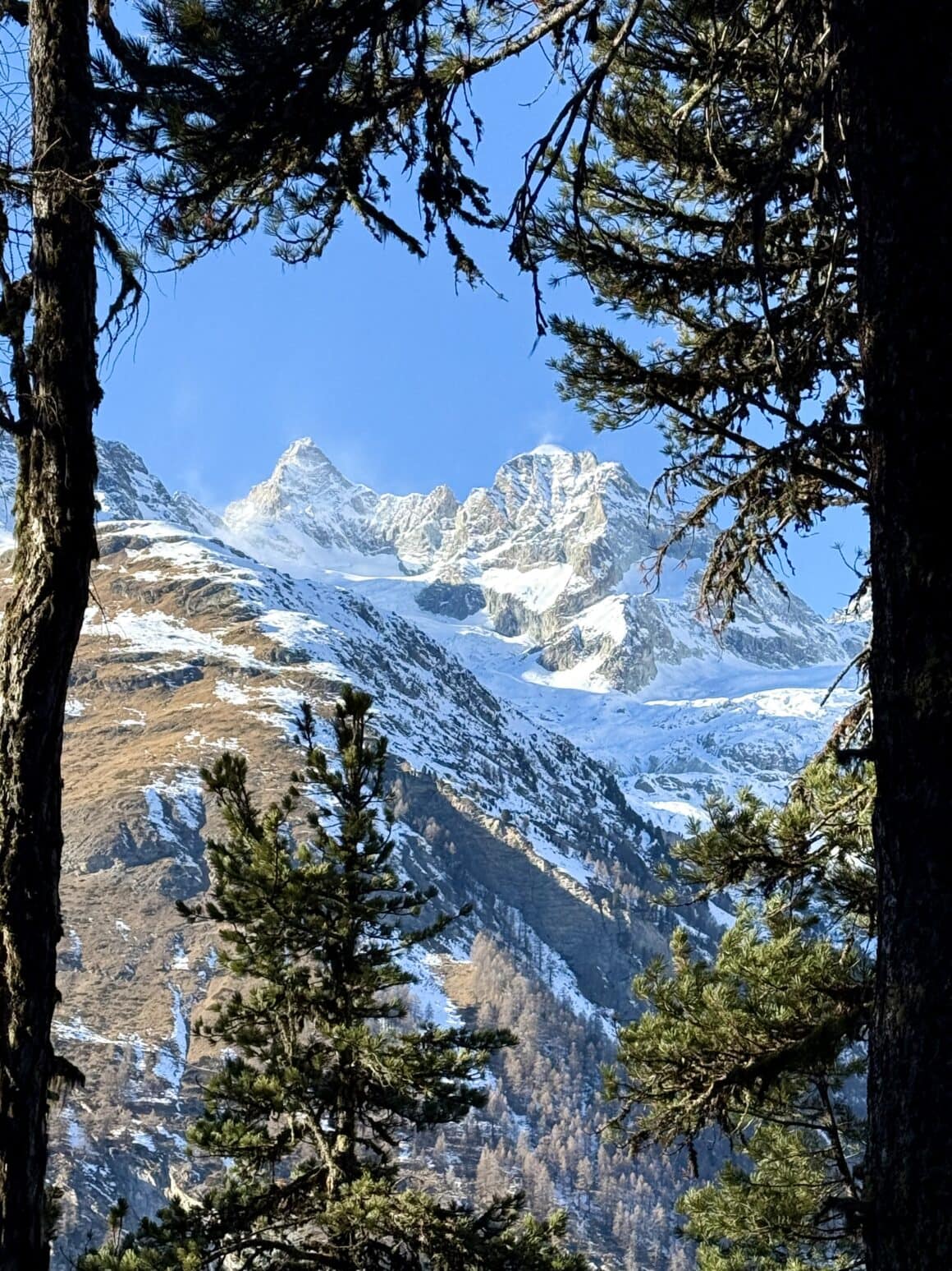 Wystarczy stanąć między drzewami.
Reszta układa się sama
— góry, światło i cisza.
