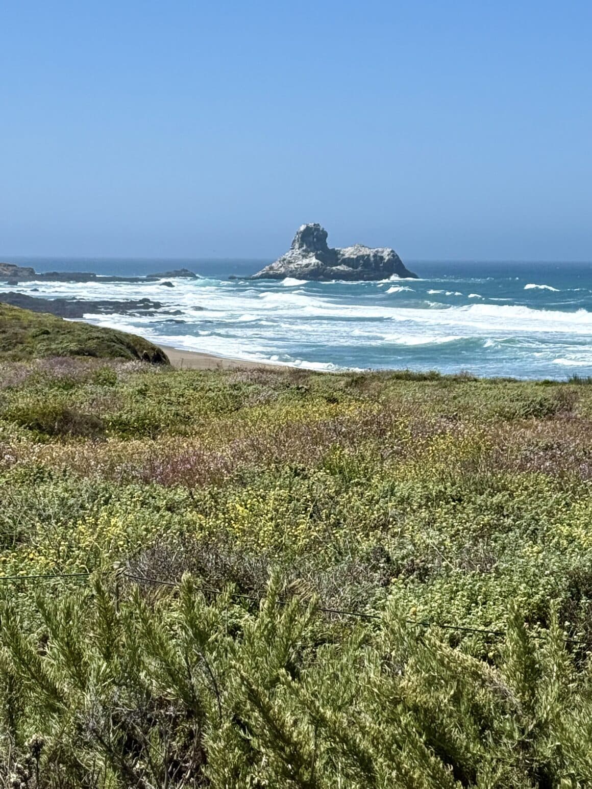 Big Sur? Nie dziś. Ocean? Zawsze 🌊 Mieliśmy jechać dalej legendarną Highway 1 w stronę Big Sur, ale zamknięta droga szybko zweryfikowała plany. Zamiast spektakularnych klifów dostaliśmy coś równie pięknego — surowy Pacyfik i ciszę, która pachniała solą. I w sumie… to był bardzo dobry początek tej niespodzianki.