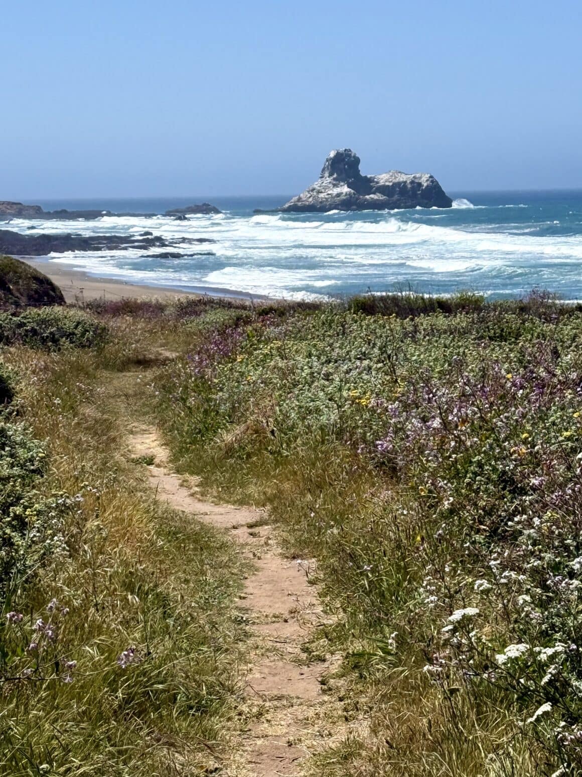 Takie „Big Sur”, tylko nasze 😄 Może nie zobaczyliśmy kultowych mostów i klifów z Instagrama, ale ta ścieżka, dzikie kwiaty i skały nad oceanem zrobiły robotę. I może właśnie o to chodzi w road tripie — że najlepsze rzeczy dzieją się wtedy, kiedy plan się rozsypuje.