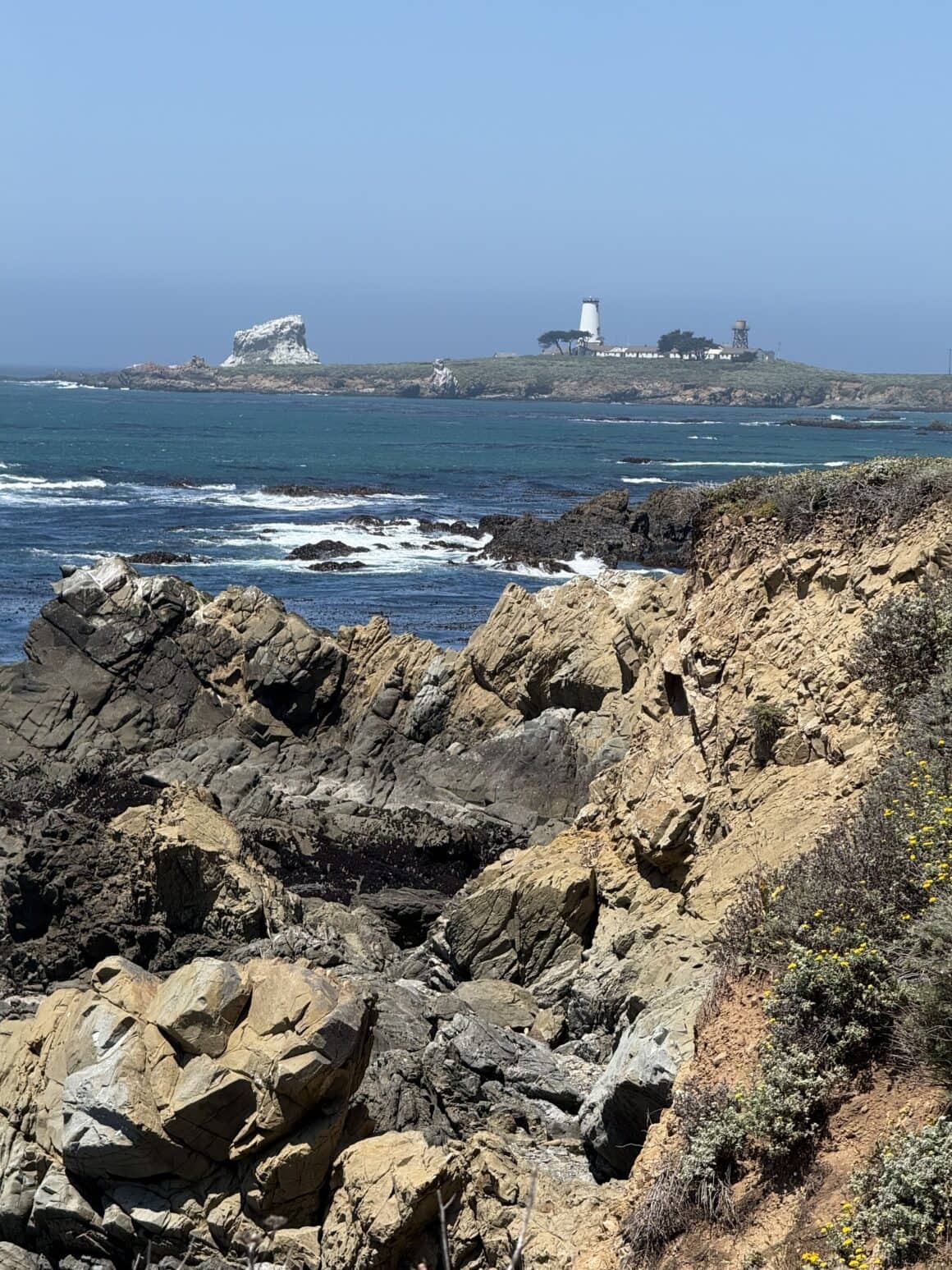 Plan B, który wygrał z Big Sur 🌊 Nie zobaczyliśmy Big Sur. Droga była zamknięta. Ale to właśnie dzięki temu skręciliśmy tutaj. I nagle okazało się, że ten „nieplanowany przystanek” daje nam coś, czego nie mieliśmy w planie — setki słoni morskich i ocean, który robił tło jak z National Geographic.