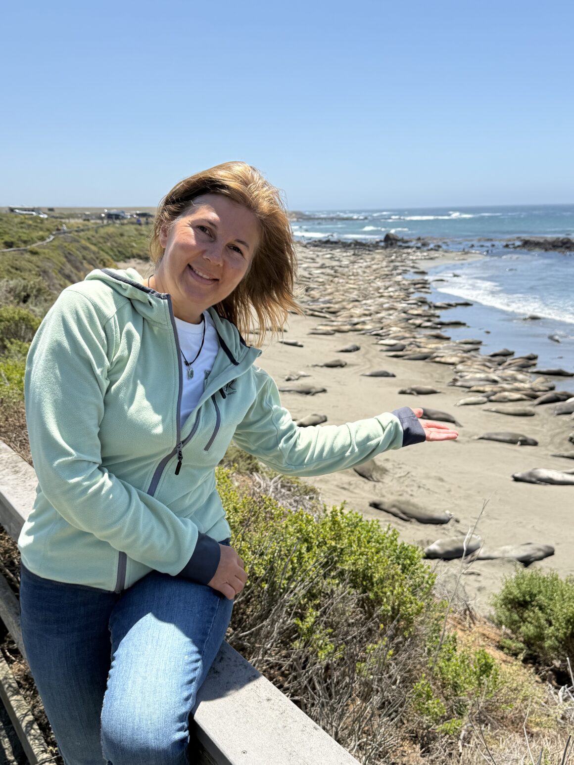Tak. To wszystko za mną 🤯 To był ten moment, kiedy plan przestał mieć znaczenie. Big Sur mogliśmy obejrzeć na Instagramie, ale setek słoni morskich na żywo nie da się przewinąć palcem. Pachniało oceanem, słońce grzało, a my staliśmy jak dzieci w zoo… tylko że bez szyb i bez klatek.