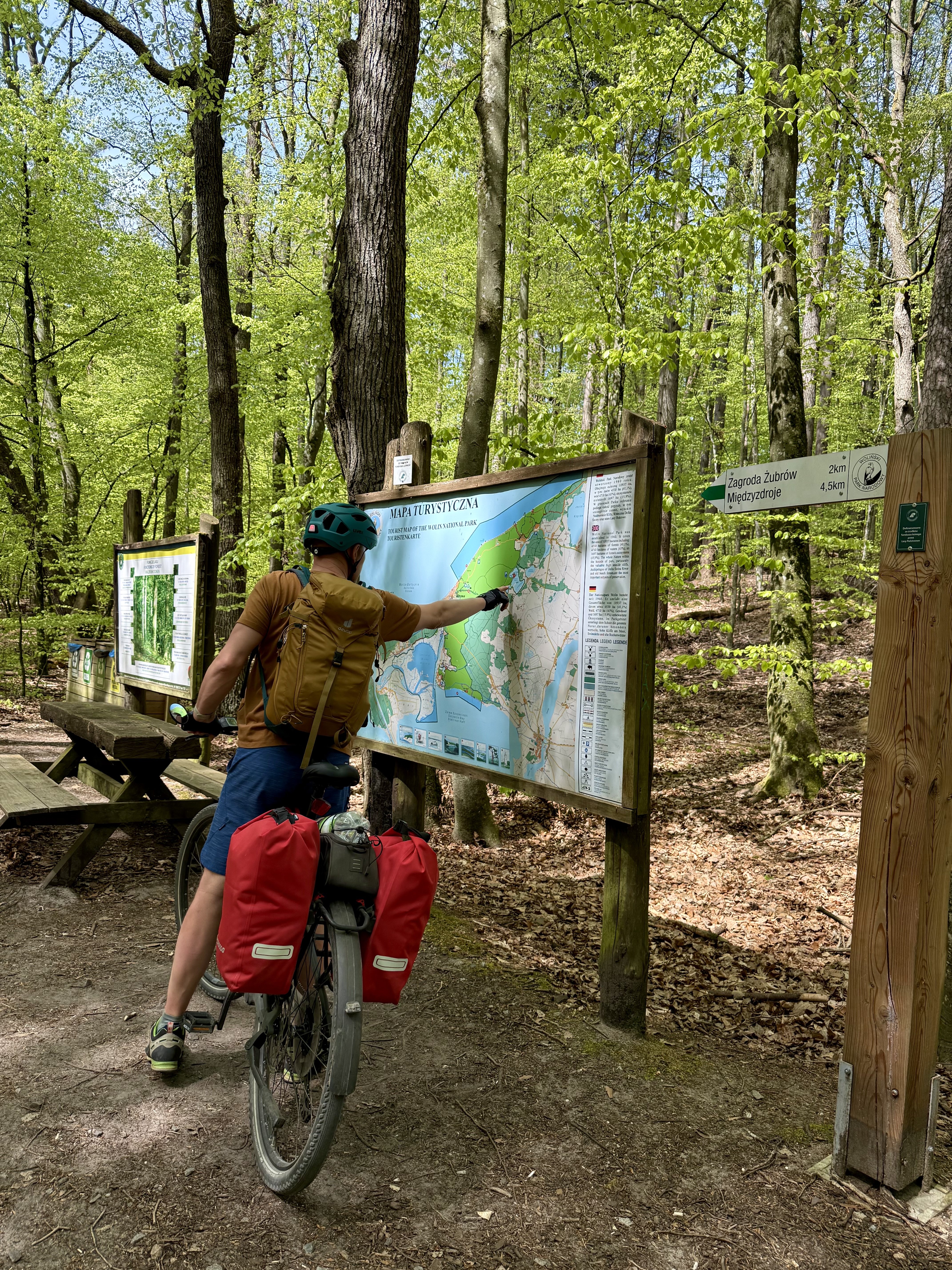 Google Maps: „powodzenia” 😂🌲 Mapka mapką… ale czasami i tak kończyło się klasycznym: dobra, jedźmy tam, gdzie wygląda ładniej 😎🚲